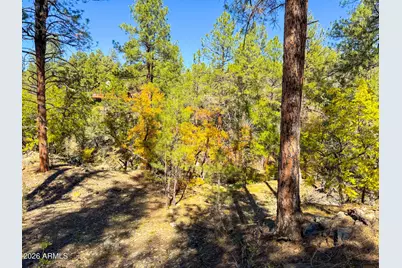 0 Forest Service Road -- #-, Prescott, AZ 86303 - Photo 31