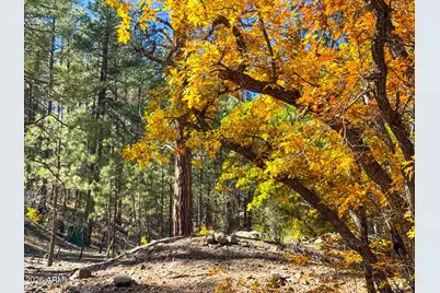 0 Forest Service Road -- #-, Prescott, AZ 86303 - Photo 37