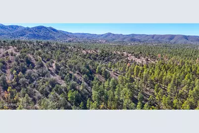 0 Forest Service Road -- #-, Prescott, AZ 86303 - Photo 9