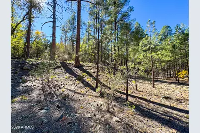 0 Forest Service Road -- #-, Prescott, AZ 86303 - Photo 33
