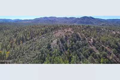 0 Forest Service Road -- #-, Prescott, AZ 86303 - Photo 11