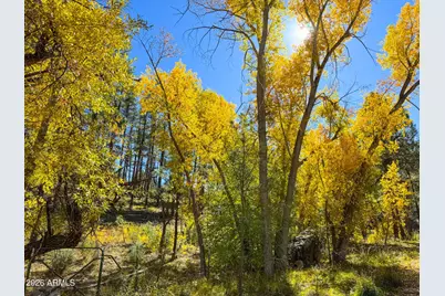 0 Forest Service Road -- #-, Prescott, AZ 86303 - Photo 39