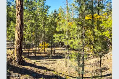 0 Forest Service Road -- #-, Prescott, AZ 86303 - Photo 5