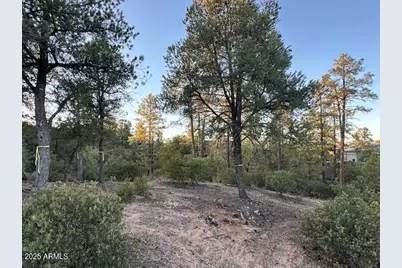 1806 E Cliff Rose Drive #839, Payson, AZ 85541 - Photo 29