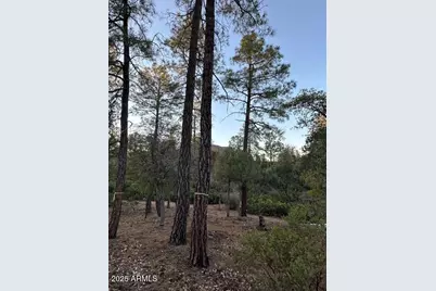 1806 E Cliff Rose Drive #839, Payson, AZ 85541 - Photo 49