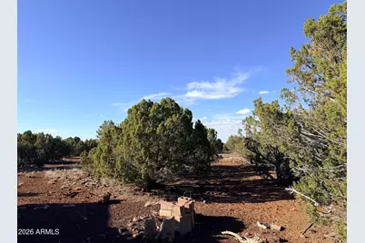 9070 Pinto Trail #-, Show Low, AZ 85901 - Photo 3