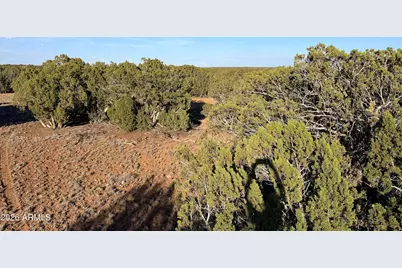 9070 Pinto Trail #-, Show Low, AZ 85901 - Photo 13