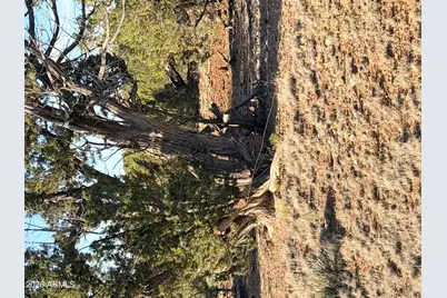 9070 Pinto Trail #-, Show Low, AZ 85901 - Photo 9