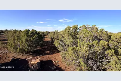 9070 Pinto Trail, Show Low, AZ 85901 - Photo 19