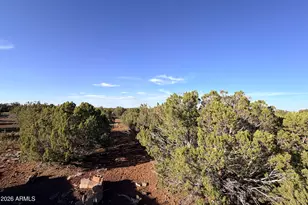 9070 Pinto Trail, Show Low, AZ 85901 - Photo 19