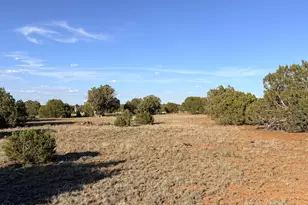 9070 Pinto Trail, Show Low, AZ 85901 - Photo 25
