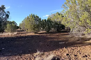 9070 Pinto Trail, Show Low, AZ 85901 - Photo 21