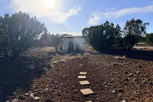 9070 Pinto Trail, Show Low, AZ 85901 - Photo 17