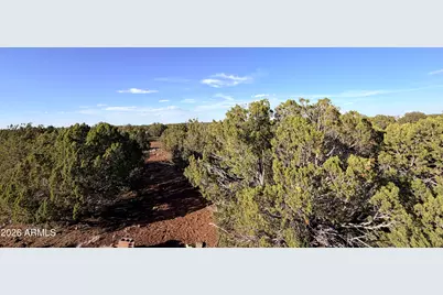 9070 Pinto Trail, Show Low, AZ 85901 - Photo 23