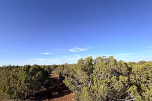 9070 Pinto Trail, Show Low, AZ 85901 - Photo 23