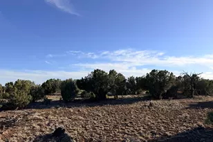 9070 Pinto Trail, Show Low, AZ 85901 - Photo 27