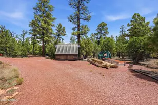6163 Mallard Pond Dr, Happy Jack, AZ 86024 - Photo 17