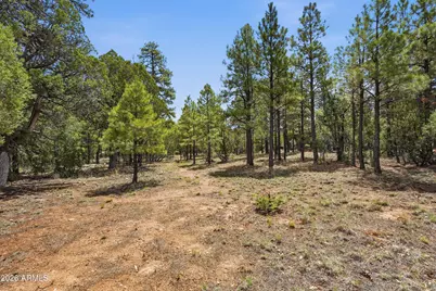 6163 Mallard Pond Drive, Happy Jack, AZ 86024 - Photo 21