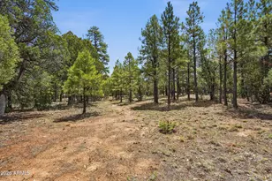 6163 Mallard Pond Dr, Happy Jack, AZ 86024 - Photo 21