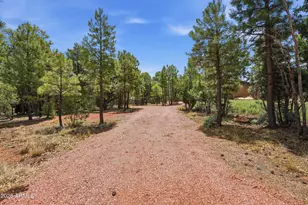 6163 Mallard Pond Dr, Happy Jack, AZ 86024 - Photo 23
