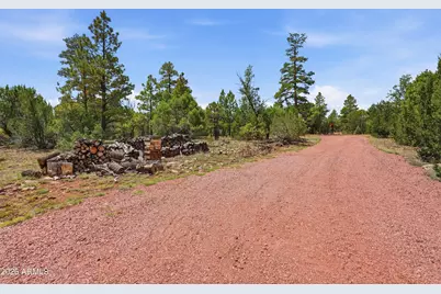 6163 Mallard Pond Drive, Happy Jack, AZ 86024 - Photo 15