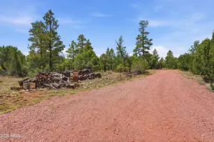 6163 Mallard Pond Dr, Happy Jack, AZ 86024 - Photo 15