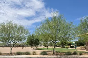 18399 W Buckskin Trl, Surprise, AZ 85387 - Photo 51