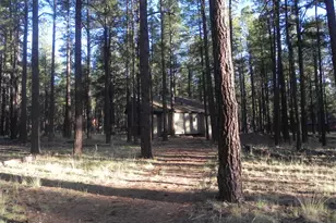 7578 E Jolly Rogue Ln, Williams, AZ 86046 - Photo 9