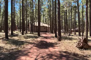7578 E Jolly Rogue Ln, Williams, AZ 86046 - Photo 17