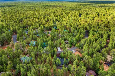 6346 Christmas Tree Circle, Pinetop, AZ 85935 - Photo 45