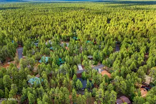 6346 Christmas Tree Cir, Pinetop, AZ 85935 - Photo 45