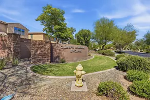119 E Chelsea Ln, Gilbert, AZ 85295 - Photo 41