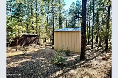 1721 W Hall Street, Show Low, AZ 85901 - Photo 17