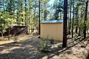 1721 W Hall St, Show Low, AZ 85901 - Photo 17