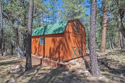 312 N Lazy Q Trail, Payson, AZ 85541 - Photo 39