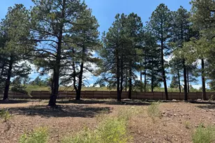 2118 Shaded Spg Trl, Flagstaff, AZ 86005 - Photo 3