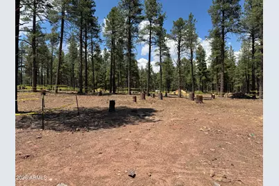 1925 Flower Spring Trail, Flagstaff, AZ 86005 - Photo 3