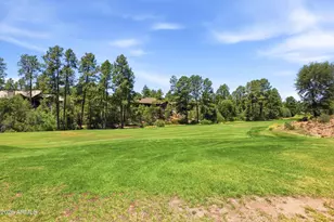 2405 E Scarlet Bugler Cir, Payson, AZ 85541 - Photo 41