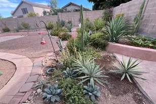 10460 E Hillery Dr, Scottsdale, AZ 85255 - Photo 11