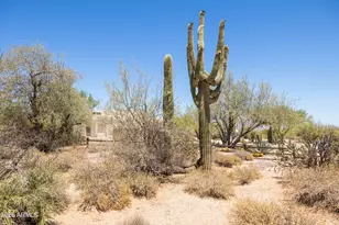27105 N 162 St, Scottsdale, AZ 85262 - Photo 53