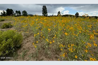 5303 N Red Mountain Road #'-', Williams, AZ 86046 - Photo 9