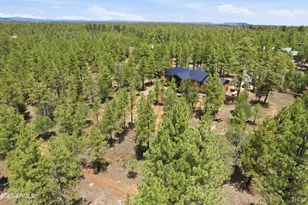 3847 Apache Dr, Happy Jack, AZ 86024 - Photo 7