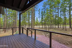 3847 Apache Dr, Happy Jack, AZ 86024 - Photo 17
