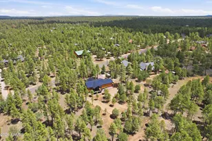 3847 Apache Dr, Happy Jack, AZ 86024 - Photo 9