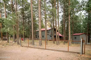 1338 Lumber Mill Dr, Happy Jack, AZ 86024 - Photo 9