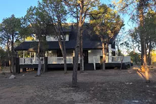 2870 Cedar Ridge, Overgaard, AZ 85933 - Photo 13