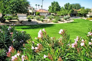 10513 E Carol Ave, Scottsdale, AZ 85258 - Photo 33