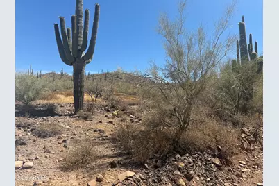 1913 E Mariola -- #-, Phoenix, AZ 85086 - Photo 3