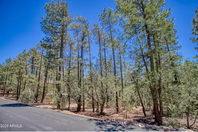 1101 E Pine Oaks Drive #47, Show Low, AZ 85901 - Photo 3