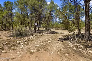2142 Rimview Trail, Overgaard, AZ 85933 - Photo 27